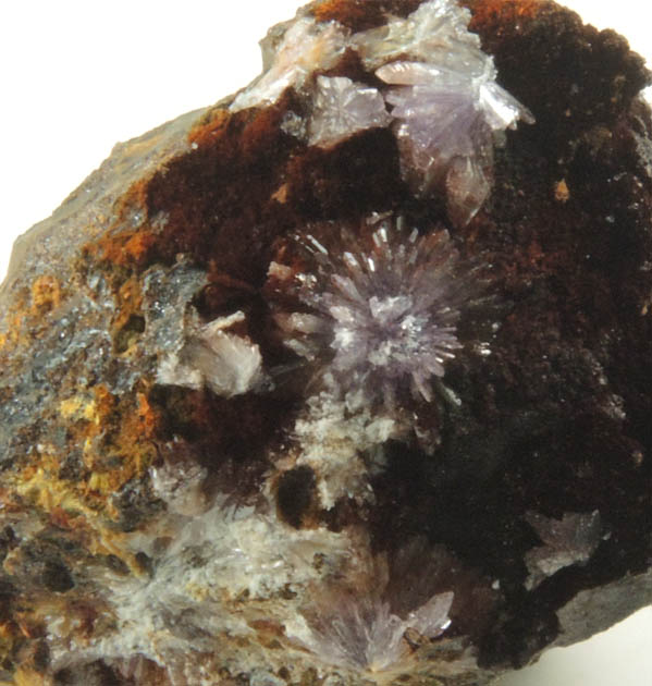 Strengite, Cacoxenite, Dufrenite-Kidwellite, Goethite-Hematite from Indian Mountain, Cherokee County, Alabama