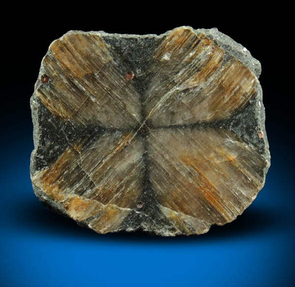 Andalusite var. Chiastolite from Hunan, China