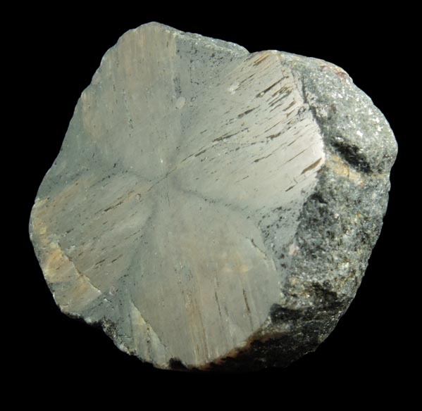 Andalusite var. Chiastolite from Hunan, China