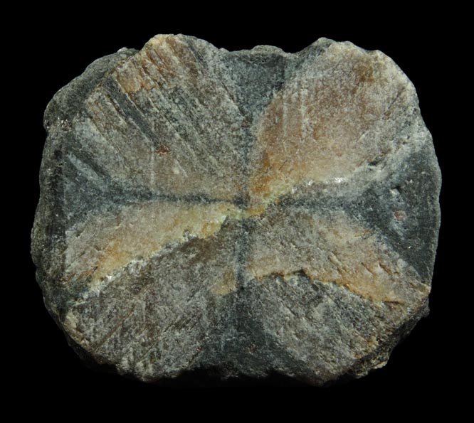 Andalusite var. Chiastolite from Hunan, China