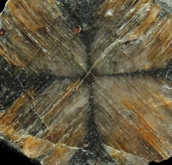 Andalusite var. Chiastolite from Hunan, China