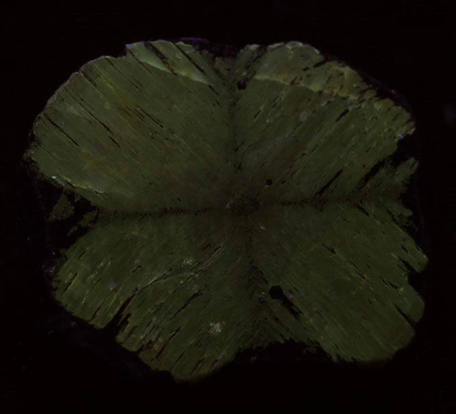 Andalusite var. Chiastolite from Hunan, China