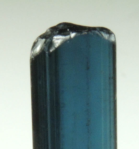 Elbaite var. Indicolite Tourmaline from Alto Ligonha District, Zambezia, Mozambique