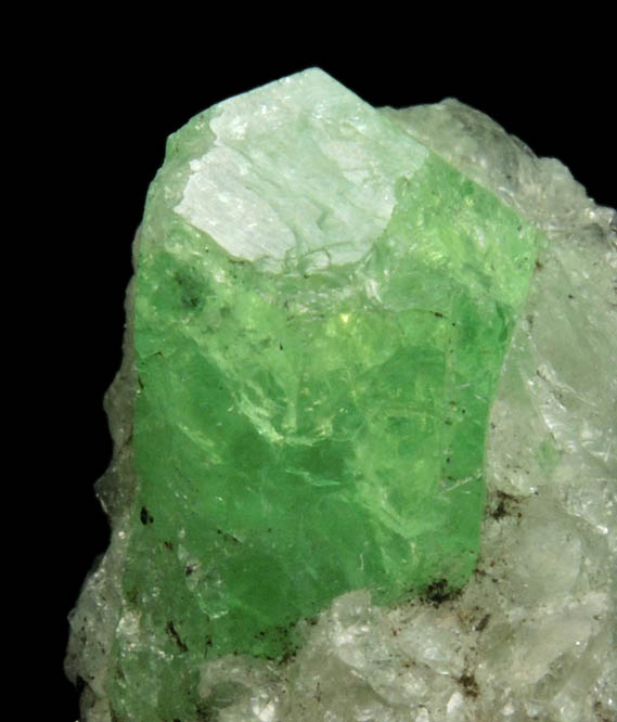 Grossular var. Tsavorite Garnet from Merelani Hills, near Arusha, Tanzania