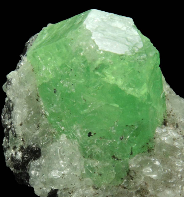 Grossular var. Tsavorite Garnet from Merelani Hills, near Arusha, Tanzania