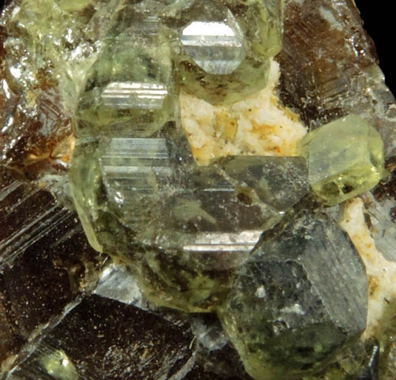 Andradite Garnet from Antetezambato, Ambanja, Antsiranana Province, Madagascar