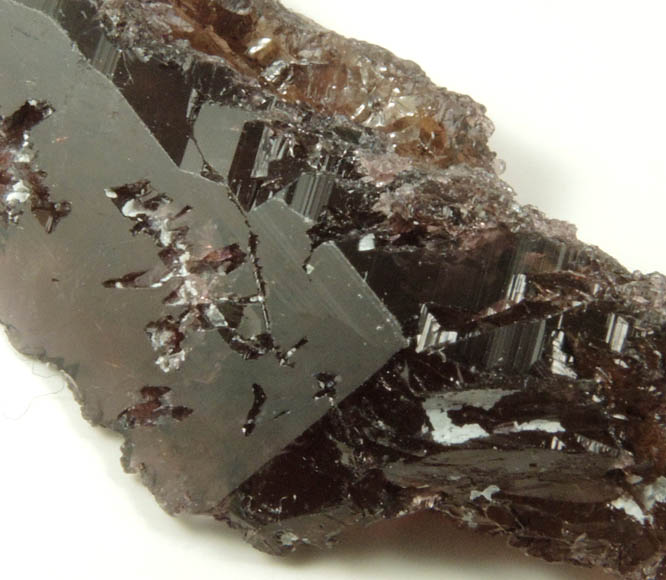 Axinite-(Fe) from Khapalu, Ghanche District, Gilgit-Baltistan, Pakistan