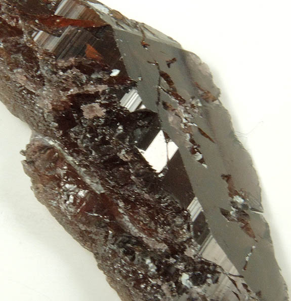 Axinite-(Fe) from Khapalu, Ghanche District, Gilgit-Baltistan, Pakistan