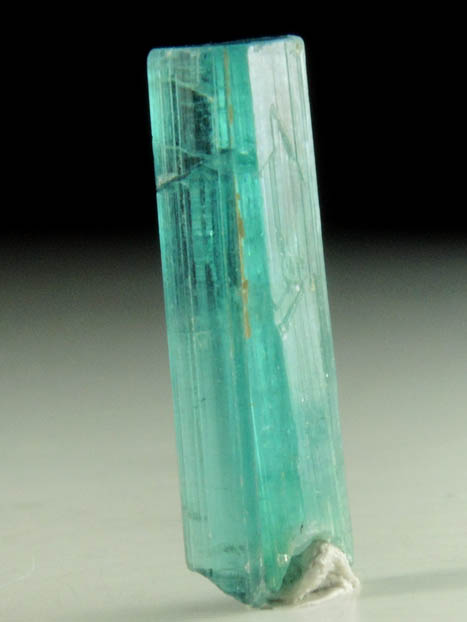 Elbaite var. Paraiba Blue Tourmaline from So Jos da Batalha, Paraba, Brazil