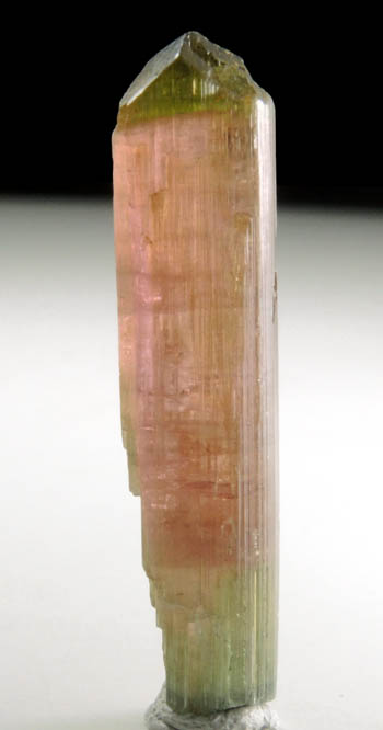 Elbaite Tourmaline (bi-colored) from Minas Gerais, Brazil