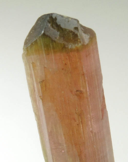 Elbaite Tourmaline (bi-colored) from Minas Gerais, Brazil