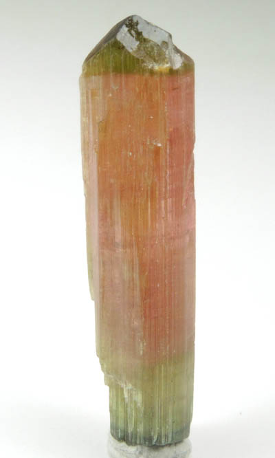 Elbaite Tourmaline (bi-colored) from Minas Gerais, Brazil