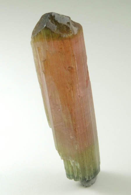 Elbaite Tourmaline (bi-colored) from Minas Gerais, Brazil