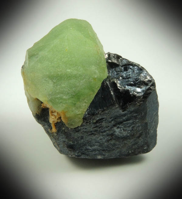 Forsterite var. Peridot on Magnetite from Suppat, Naran-Kagan Valley, Kohistan District, Khyber Pakhtunkhwa (North-West Frontier Province), Pakistan