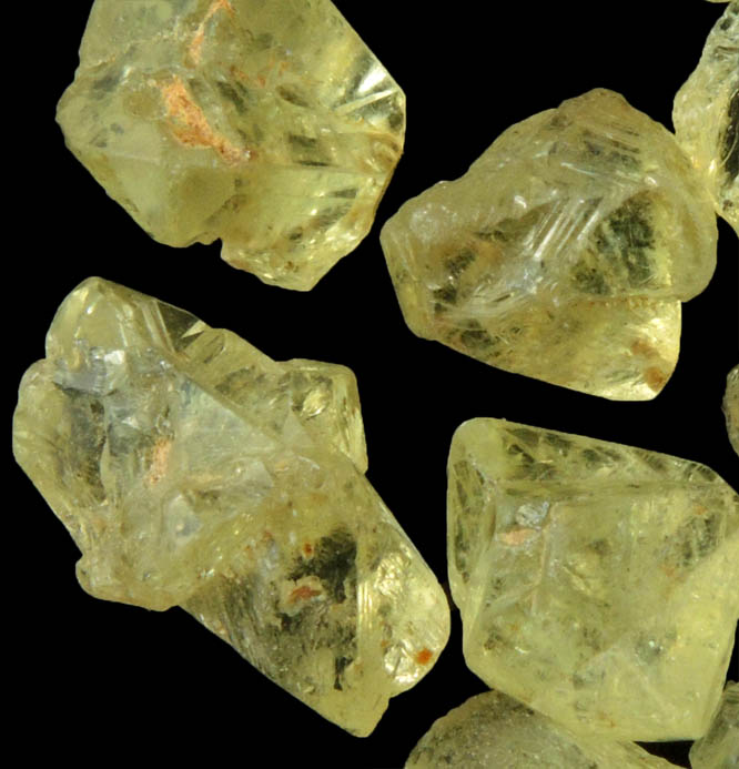 Chrysoberyl (14 gem-grade twinned crystals) from Pancas, Esprito Santo, Brazil