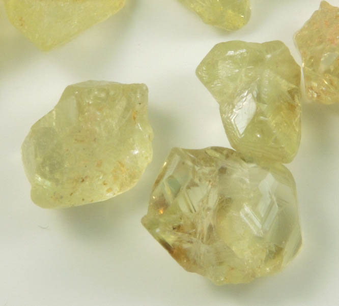 Chrysoberyl (14 gem-grade twinned crystals) from Pancas, Esprito Santo, Brazil