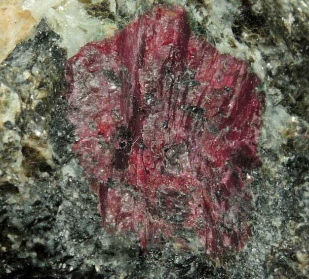 Corundum var. Ruby from Rai-Iz, Tyumenskaya Oblast, Russia