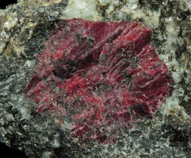 Corundum var. Ruby from Rai-Iz, Tyumenskaya Oblast, Russia