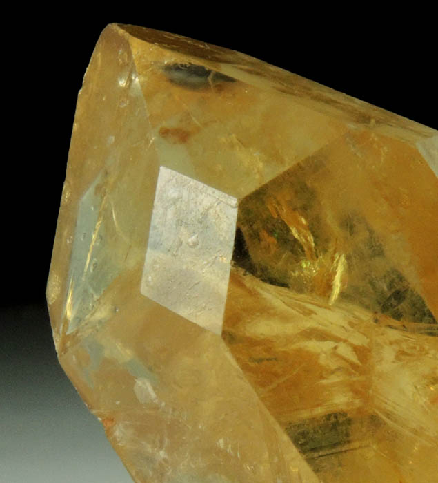 Quartz var. Citrine Quartz from Erongo Region, Namibia