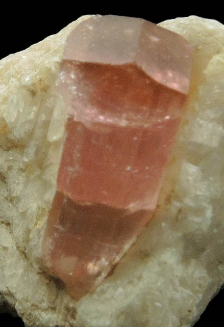 Elbaite var. Rubellite Tourmaline in Albite from Mogok District, 115 km NNE of Mandalay, Mandalay Division, Myanmar (Burma)