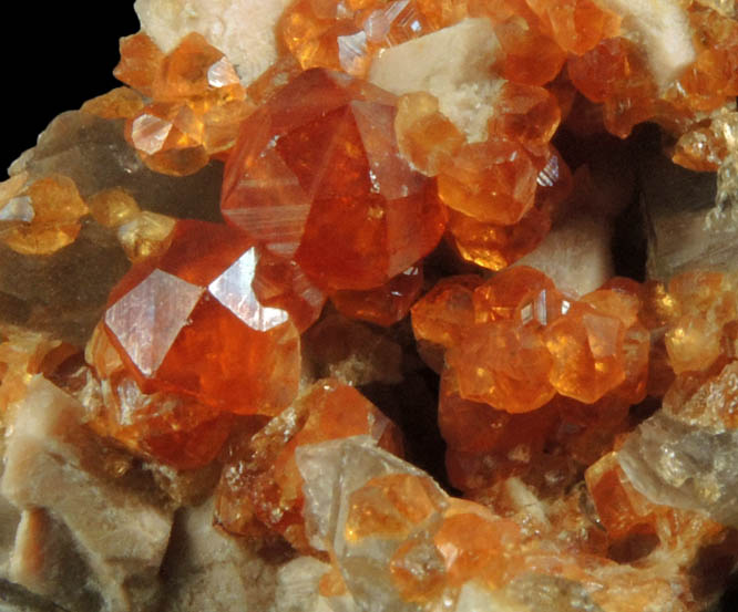 Spessartine Garnet on Microcline from Tongbei-Yunling District, Fujian Province, China