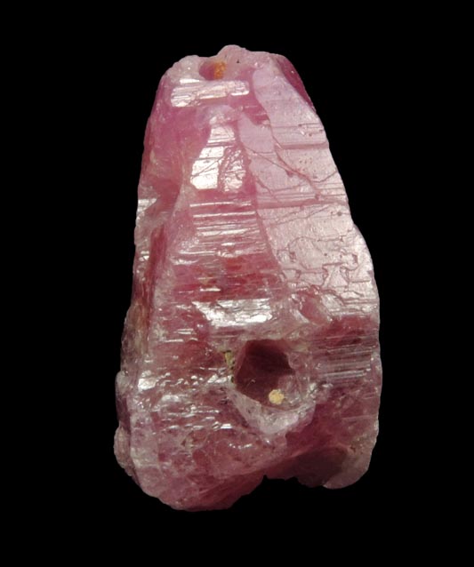 Corundum var. Ruby from Mogok District, 115 km NNE of Mandalay, Mandalay Division, Myanmar (Burma)