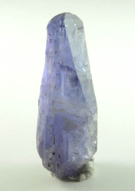 Tanzanite Crystal (blue gem variety of the mineral Zoisite) from Merelani Hills, western slope of Lelatama Mountains, Arusha Region, Tanzania (Type Locality for Tanzanite)