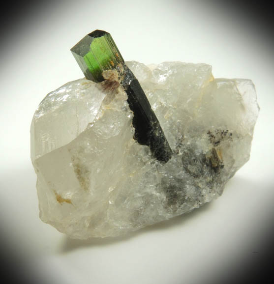 Elbaite Tourmaline in Quartz from Paprok, Kamdesh District, Nuristan Province, Afghanistan