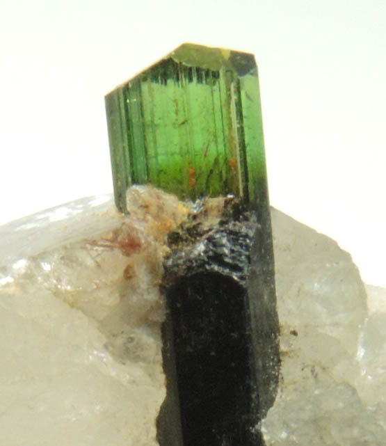 Elbaite Tourmaline in Quartz from Paprok, Kamdesh District, Nuristan Province, Afghanistan