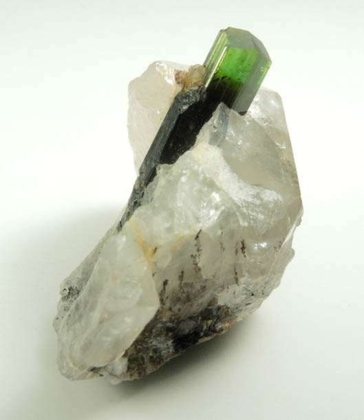 Elbaite Tourmaline in Quartz from Paprok, Kamdesh District, Nuristan Province, Afghanistan