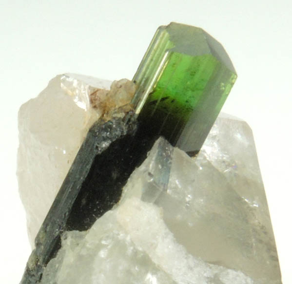 Elbaite Tourmaline in Quartz from Paprok, Kamdesh District, Nuristan Province, Afghanistan