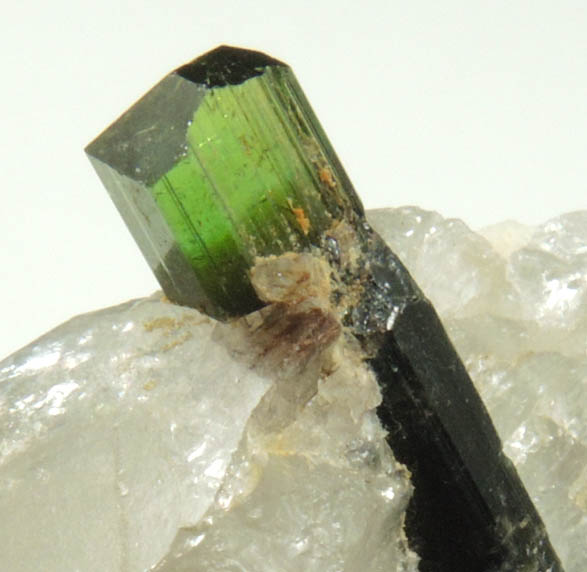 Elbaite Tourmaline in Quartz from Paprok, Kamdesh District, Nuristan Province, Afghanistan