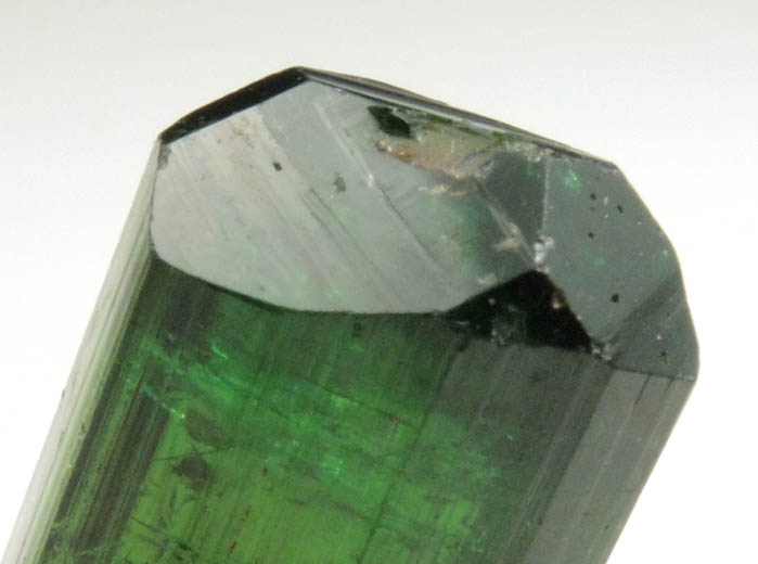 Elbaite var. Chrome Tourmaline from Commander Mine, Adonjukin, Tanzania