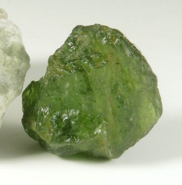 Diopside var. Chrome Diopside (rough with crystal in matrix) from Chamachu, Skardu District, Haramosh Mountains, Gilgit-Baltistan, Pakistan