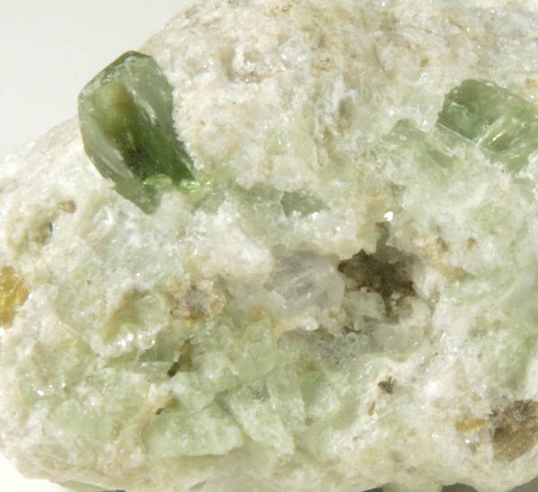 Diopside var. Chrome Diopside (rough with crystal in matrix) from Chamachu, Skardu District, Haramosh Mountains, Gilgit-Baltistan, Pakistan