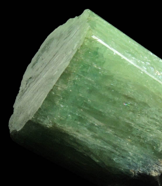 Elbaite Tourmaline with Lepidolite core from Mina do Urubu, Itinga, Minas Gerais, Brazil