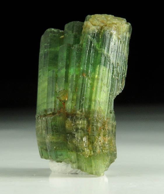 Elbaite Tourmaline (curved crystals) from Skardu District, Gilgit-Baltistan, Pakistan