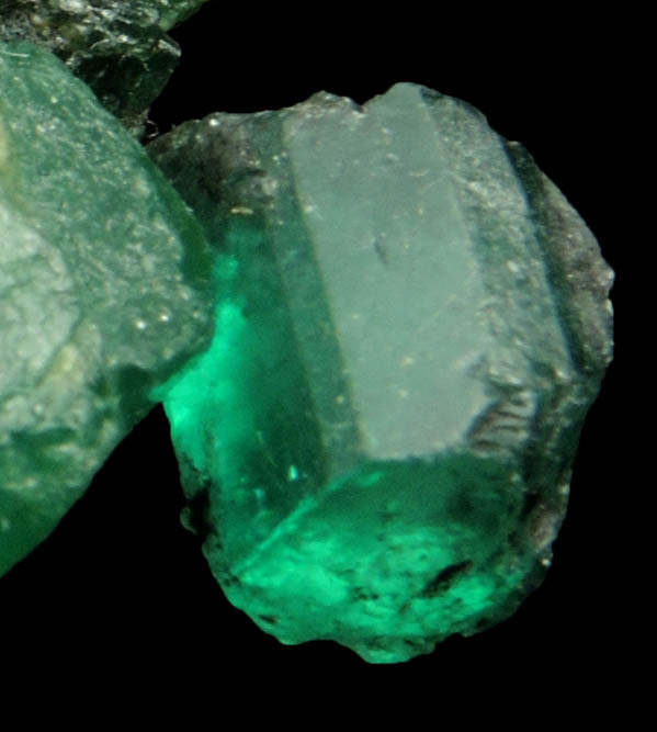 Beryl var. Emerald (six gem rough) from Vasquez-Yacopi Mining District, Boyac Department, Colombia