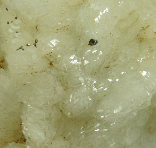 Datolite with Pyrite and Apophyllite from Millington Quarry, Bernards Township, Somerset County, New Jersey