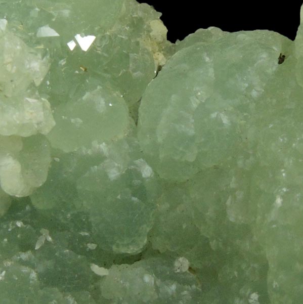 Prehnite with minor Apophyllite from Millington Quarry, Bernards Township, Somerset County, New Jersey