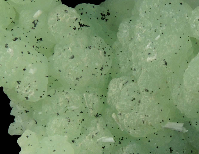 Prehnite pseudomorphs after Anhydrite with Laumontite from Upper New Street Quarry, Paterson, Passaic County, New Jersey