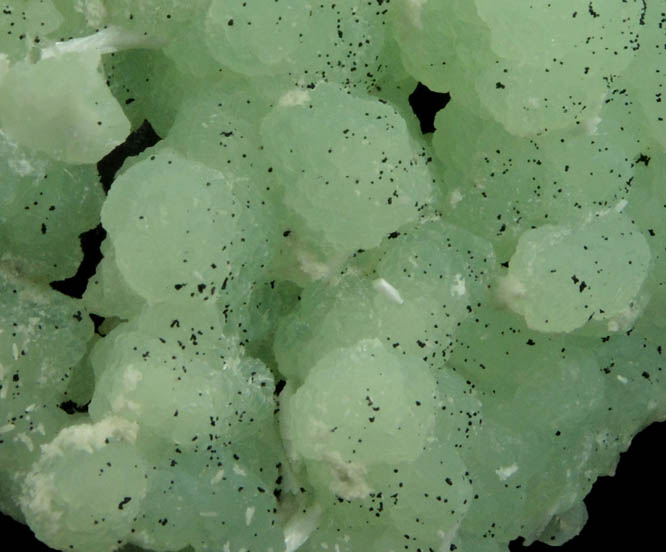 Prehnite pseudomorphs after Anhydrite with Laumontite from Upper New Street Quarry, Paterson, Passaic County, New Jersey