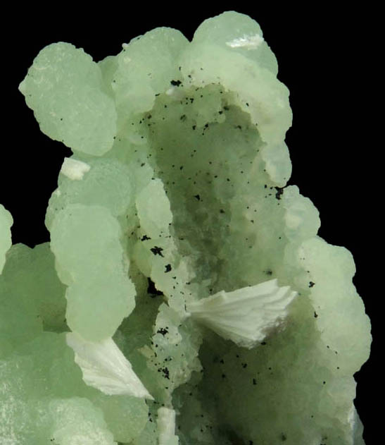 Prehnite pseudomorphs after Anhydrite with Chlorite and Laumontite from Upper New Street Quarry, Paterson, Passaic County, New Jersey