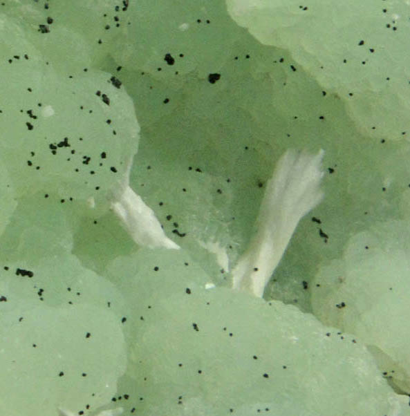 Prehnite pseudomorphs after Anhydrite with Chlorite and Laumontite from Upper New Street Quarry, Paterson, Passaic County, New Jersey