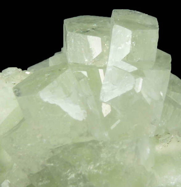 Apophyllite on Prehnite from Millington Quarry, Bernards Township, Somerset County, New Jersey