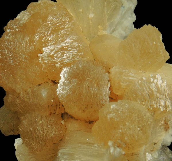 Stilbite from Upper New Street Quarry, Paterson, Passaic County, New Jersey