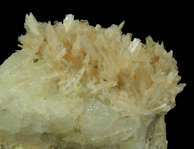 Pectolite over Datolite from Millington Quarry, Bernards Township, Somerset County, New Jersey