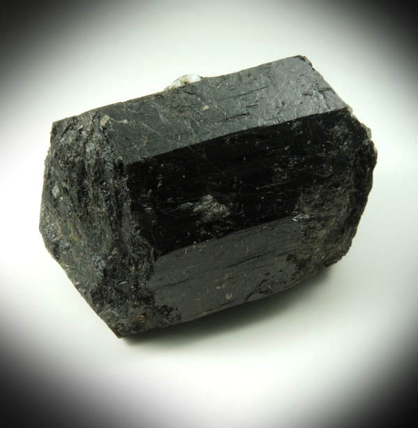 Dravite-Schorl Tourmaline from Tourmaline Prospect 100 m. west of Biermann Quarry, Bethel, Fairfield County, Connecticut