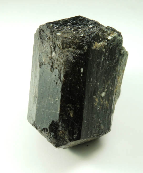 Dravite-Schorl Tourmaline from Tourmaline Prospect 100 m. west of Biermann Quarry, Bethel, Fairfield County, Connecticut