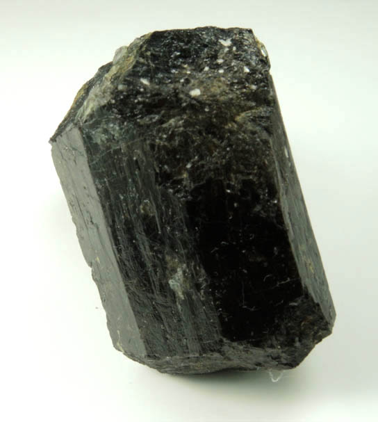 Dravite-Schorl Tourmaline from Tourmaline Prospect 100 m. west of Biermann Quarry, Bethel, Fairfield County, Connecticut